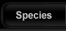 All about hamsters - species
