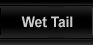 All about hamsters - wet tail