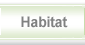 All about hamsters - habitat