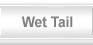 All about hamsters - wet tail
