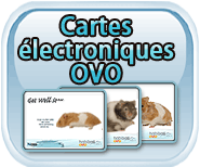 Cartes électroniques OVO Habitrail