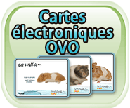 Cartes électroniques OVO Habitrail